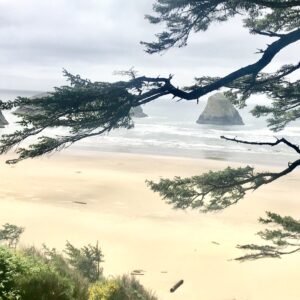 Coast & Travel #7